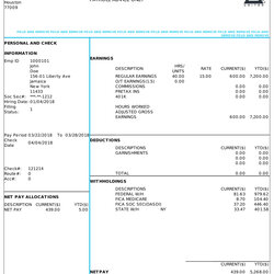 Great Paycheck Stub Template Online Style