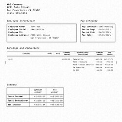 Marvelous Sample Pay Stub Templates Mr Stubs Template Professional