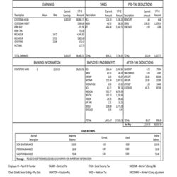 Excellent Payroll Check Stub Template Printable Earnings Large