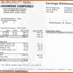 Fine Paycheck Stub Template Free Of Pay Stubs Generator