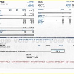 Perfect Pay Stub Template Free Paycheck Download Of Blank Payroll Checks