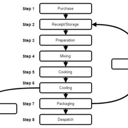 Process Flow Diagrams