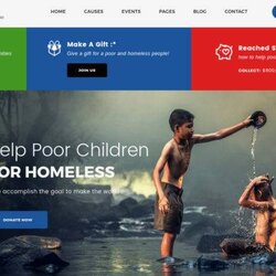Matchless Top Non Profit Website Templates Template Demo Buy Now