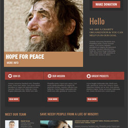 Exceptional Non Profit Website Themes Templates Width