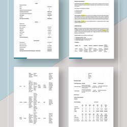 Terrific Software Development Plan Template Download In Word Google Docs