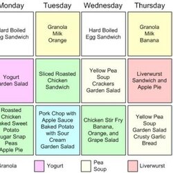 Legit How To Prepare Weekly Meal Plan For One Person Nutritious Meat And Meals Easy Menu
