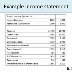 Brilliant Simple Income Statement Example Business Spreadsheet Accounting Template Excel Financial Sheet