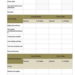 The Highest Quality Free Income Statement Templates Examples Expenditure Template