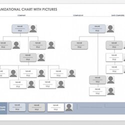 Brilliant Microsoft Organization Chart Templates Organizational With Pictures Template Word