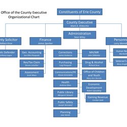 Admirable Organizational Chart Template Word Organization Pharmaceutical Charts