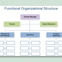 Org Chart Template Word Fascinating Microsoft Office Free Organizational Templates Concept