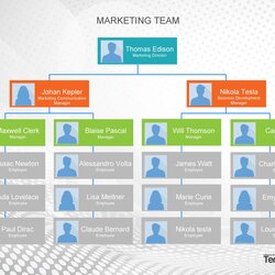 Microsoft Word Org Chart Template Download Templates Magnificent Inspirations