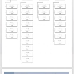 Sterling Microsoft Organization Chart Templates Organizational Hierarchical Template Word