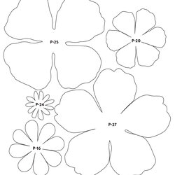 Preeminent Printable Paper Flower Templates Get What You Need For Free