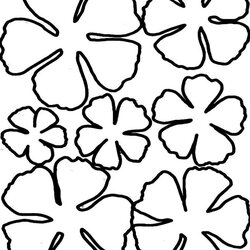 Sterling Printable Flower Templates Coloring Home