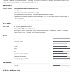 Peerless Entry Level It Resume Examples With No Experience Information Technology Template Example Influx