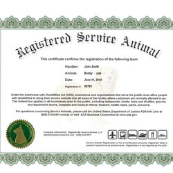 Wonderful Service Dog Certificate Template Certification Frightening Completion Magnificent Ideas For