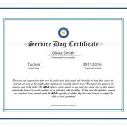 Marvelous Service Dog Training Certificate Template Pertaining To Best