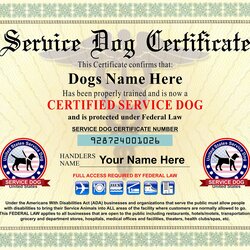 Fantastic Is There Certificate For Service Dogs