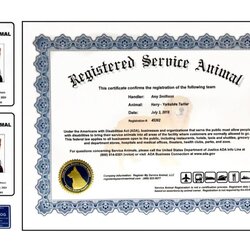 Fine Service Dog Certificate Template Printable Landscape