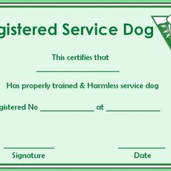 Cool Service Dog Paper Template Dogs Certificate Templates Trained