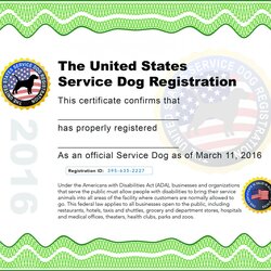 Perfect Service Dog Certificate Template Printable Word Searches Wondrous Image