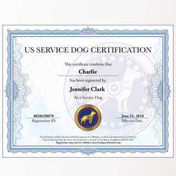Terrific Emotional Support Dog Certificate Id Card Letter Registration Service