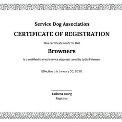 Spiffing Service Certificate Template In Word Free Download Dog Sm