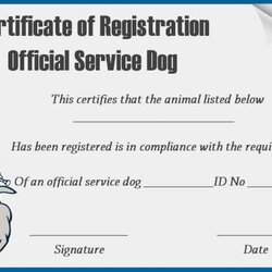 Capital Pin On Service Dog Certificate Templates Template Printable Certificates Dogs Training Papers Card