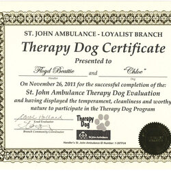 Worthy Free Printable Service Dog Certificate Certification Download Exclusive Inside Template