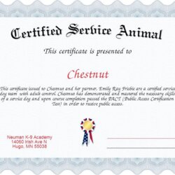 Matchless Service Dog Certificate Template Professional Templates Certification Certificates