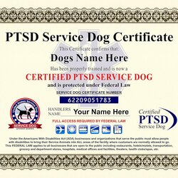 Admirable Service Dog Certificate Template