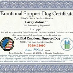 Free Printable Emotional Support Dog Certificate