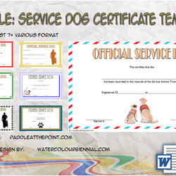 Supreme Service Dog Certificate Template Latest Designs Free Templates Training Companion Feasibility