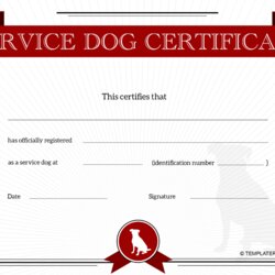 Tremendous Service Dog Certificate Template Red Download Printable Print Big