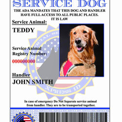 Wizard Free Printable Service Dog Id Card Custom Holographic With Certificate Template