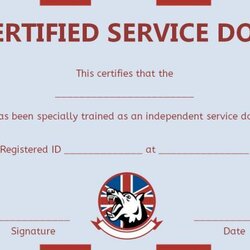 Exceptional Service Dog Training Certificate Templates Dogs