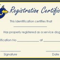 The Highest Quality Service Dog Papers Templates Tooth Fairy Certificate Free Gift Trained Card