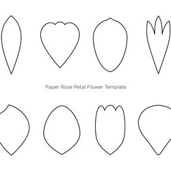 Admirable Free Printable Flower Petal Template Pattern Paper Rose