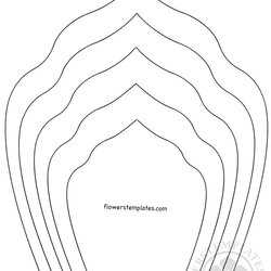 The Highest Quality Flower Petal Templates Printable Fit