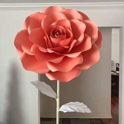 Exceptional Paper Flowers Combo Of Sizes Rose Flower Template Large Extra Giant Standing Make Templates