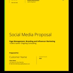 Social Media Management Proposal Templates At Template Company
