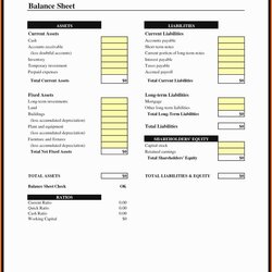 Swell Simple Balance Sheet Template For Small Business Free Of With Magnificent Basics