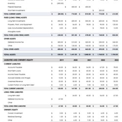 Exceptional Balance Sheet Template Pro