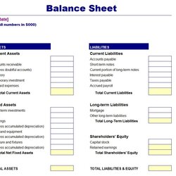 Great Simple Balance Sheet Template Business Blank Printable Worksheet Templates Excel Spreadsheet Asset