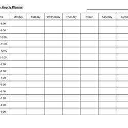 Effective Hourly Schedule Templates Excel Ms Word