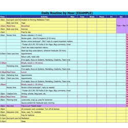 Admirable Effective Hourly Schedule Templates Excel Ms Word Template