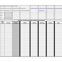 Perfect Effective Hourly Schedule Templates Excel Ms Word