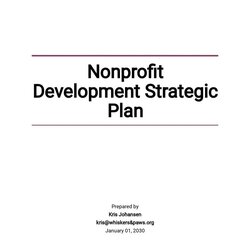 Marvelous Strategic Plan For Nonprofit Template Development