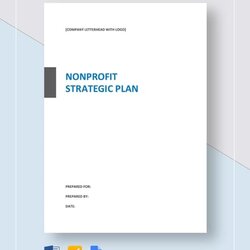 Matchless Sample Non Profit Strategic Plan Templates Word Template Nonprofit Business Format Details Simple